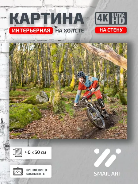 Smail Art Картина на стену Спорт Landscape для кафе пейзаж интерьер