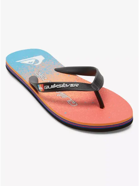 Quiksilver Шлепанцы MOLOKAI ART II SNDL XBBN