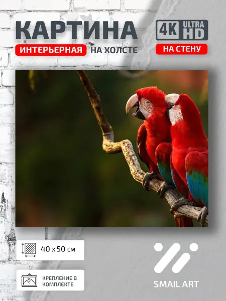 Smail Art Картина на стену Животные попугаи для гостиной атмосфера