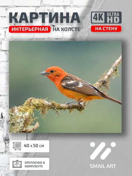 Smail Art Картина на стену Птицы Птица для кабинета атмосфера
