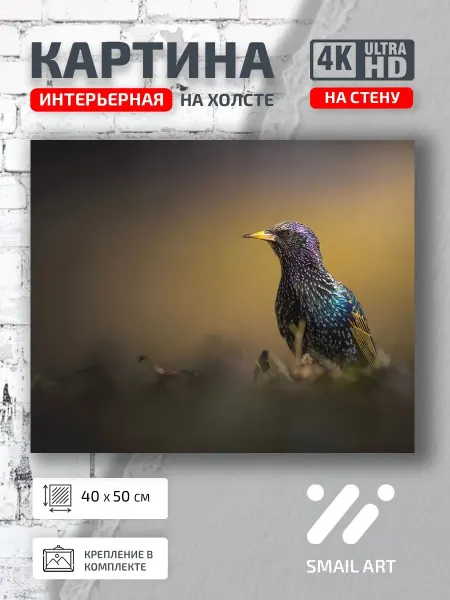 Smail Art Картина на стену Птицы Скворец для кабинета атмосфера