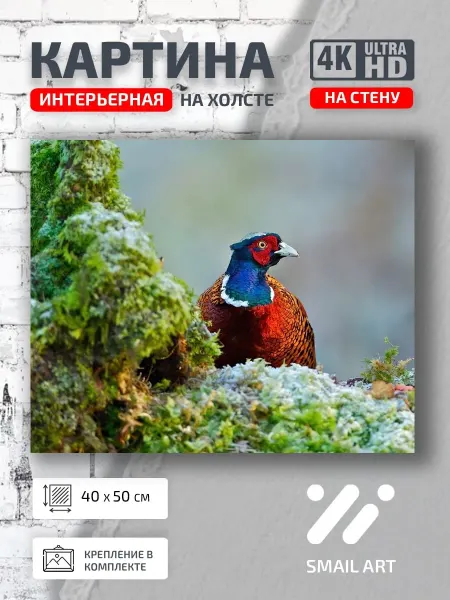 Smail Art Картина на стену Птицы Фазан для офиса атмосфера