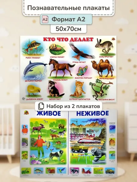 ЛИНГ Плакат Живое неживое и Кто что делает комплект