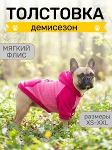 Толстовка для собак мелких и средних пород демисезон унисекс (XL)
