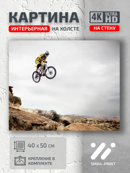 Jz Like Картина на стену Спорт Mountain Bike