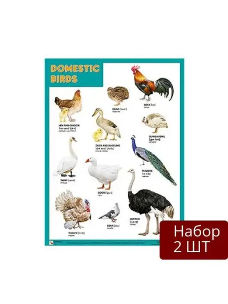 Мозаика-Синтез Набор 2 шт Плакаты Domestic Birds