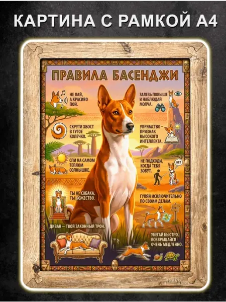Boberbox Картина Правила Басенджи, постер в рамке, А4