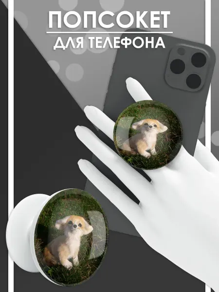 Стетхем Шоп Попсокет Фенек, держатель для телефона