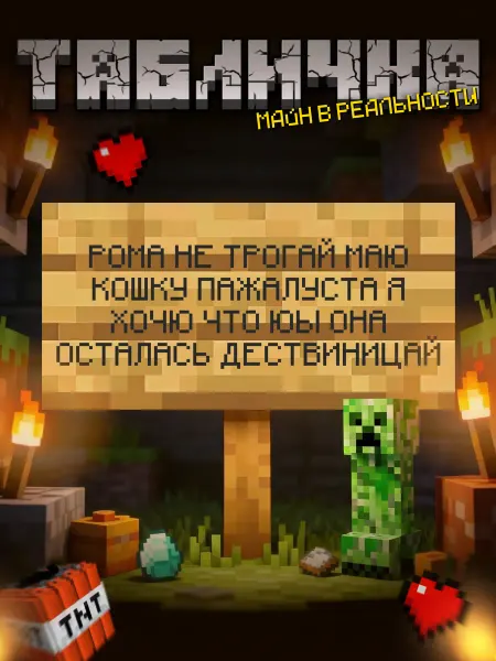 BuyMyShaggyBark Табличка minecraft на дверь мем Рома не трогай маю кошку
