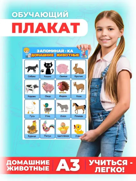 ООО Русторг Обучающий плакат для детей домашние животные