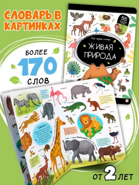 Книжка с окошками для детей Живая природа энциклопедия
