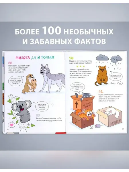 Сималенд Энциклопедия о животных для детей на тему живого мира