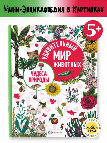Хоббитека Животные. Удивительный мир животных. Энциклопедия для детей