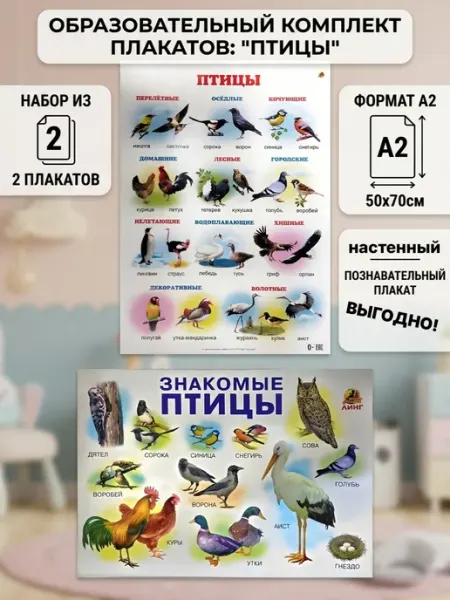 ЛИНГ Плакаты птицы настенные для детей обучающий набор