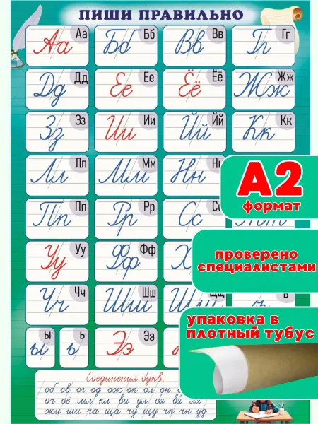 ИП Дзус Обучающий плакат Пиши правильно на стену в школу детям