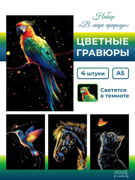 House of creativity Раскраска - гравюра В мире природы
