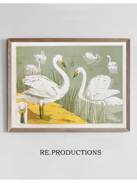 Re.productions Постер Cygne sauvage - Maurice Pillard Verneuil
