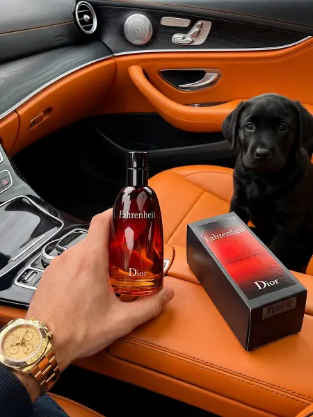 Духи Мужская туалетная вода Fahrenheit Dior