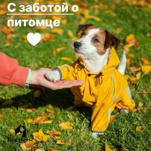 Дождевик комбинезон одежда для собак мелких пород