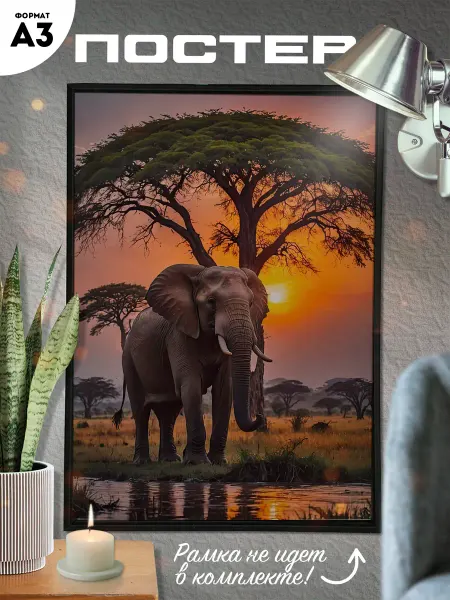 Твой постер! Постер А3 Животные Слон Elephant