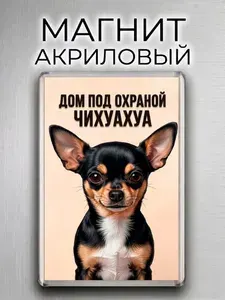 Магнит на холодильник "Дом под охраной Чихуахуа" - сувенир с собакой, подарок собачнику