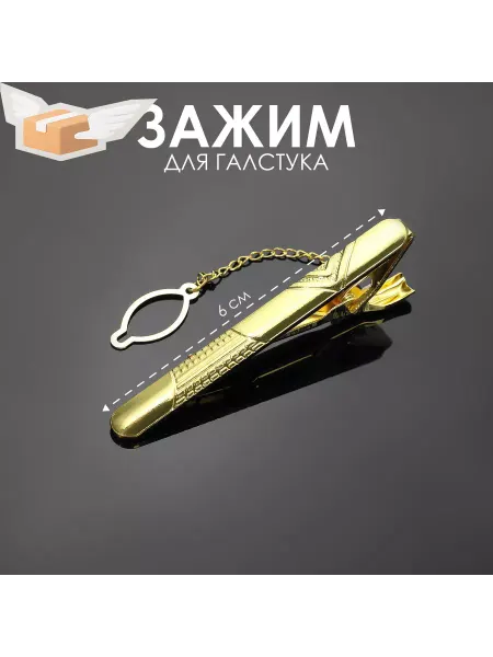 Queen fair Зажим для галстука стальной «Классический» галка, цвет золот