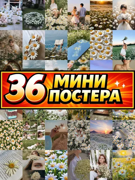 Бумажный дом Fun Минипостеры 36 шт модульный с ромашками рядом с