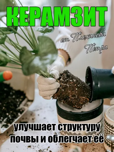 Керамзит отборный от Петра Плеханова, крупный, средний, мелкий, дренаж мульча для цветов