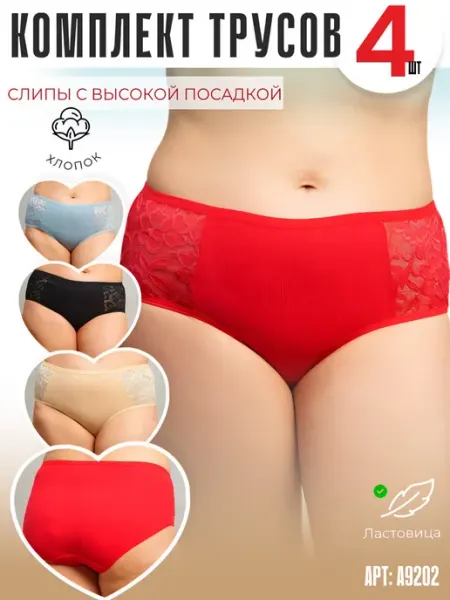 H&V KOZA Трусы слипы больших размеров набор 4 шт