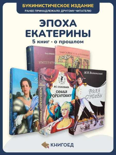 Книгоед исторические романы Краснов Салиас Елисеева Соловьев