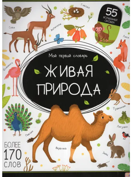 Маламалама Мой первый словарь. Живая природа