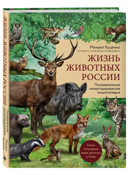 Жизнь животных России. Познавательная иллюстрированная энцик