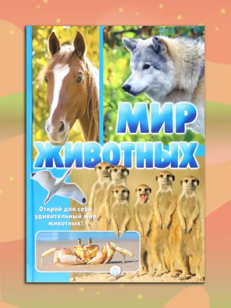 Лабиринт Мир животных. Открой для себя удивительный мир животных!