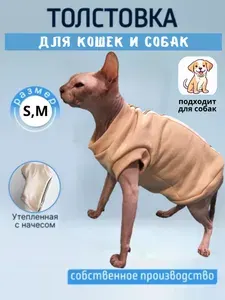 Свитшот для собак мелких пород Персик размер M, худи для собак, одежда для животных