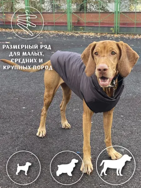 МОНМОРАНСИ Жилет для собак мелких средних крупных пород