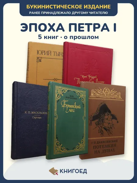 Книгоед Исторические романы Тынянов Федоров Масальский Загоскин