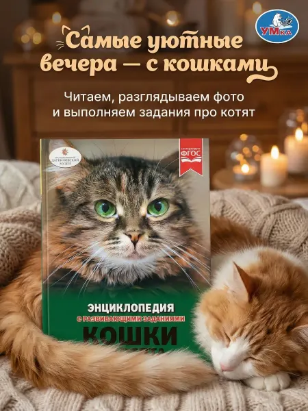 Умка Книга детская энциклопедия с заданиями Кошки и котята