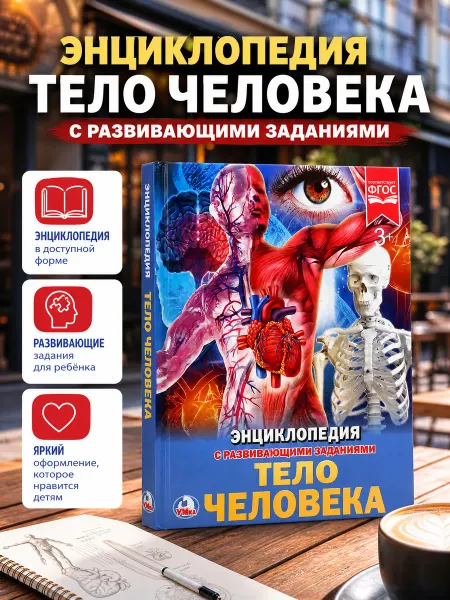 Умка Книга детская энциклопедия с заданиями Тело человека