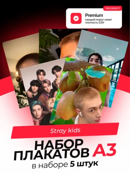 KONNESSI Постеры Stray Kids. 5 штук. А3