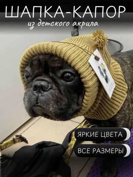 Яркий малыш Шапка для собак капор колпак с ушками с закрытой шеей