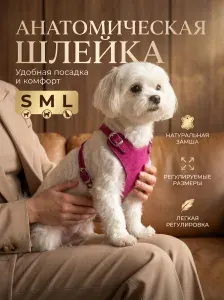 Шлейка для собак и кошек мелких пород до 6кг из натуральной замши, цвет Розовый размер L