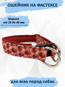 Ошейник для собак "Земляничка" с регулировкой на застёжке (фастексе). M+