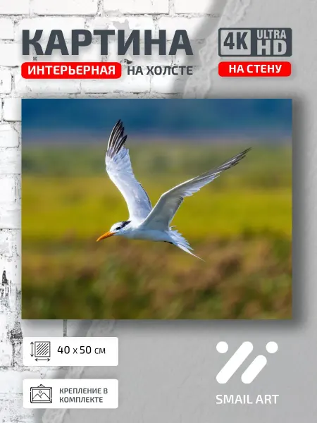 Jz Like Картина на стену Полем Landscape для кабинета пейзаж декор