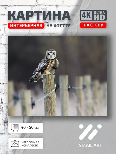 Jz Like Картина на стену Пица Landscape для кафе пейзаж интерьер