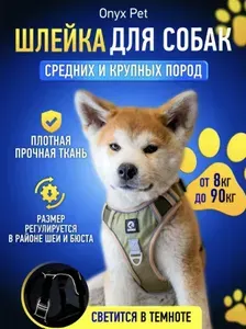Шлейка прогулочная со светоотражающими элементами и усиленной защитой для собак средних и крупных пород