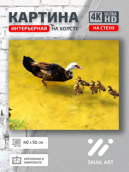 Jz Like Картина на стену Утятами Mood для гостиной атмосфера декор