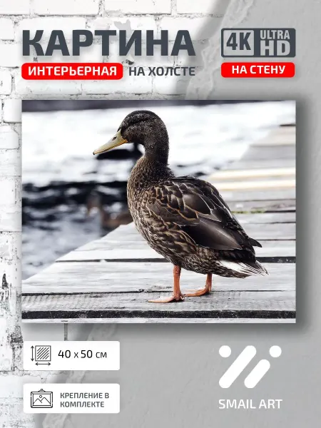 Jz Like Картина на стену Пирсе Mood для спальни атмосфера интерьер