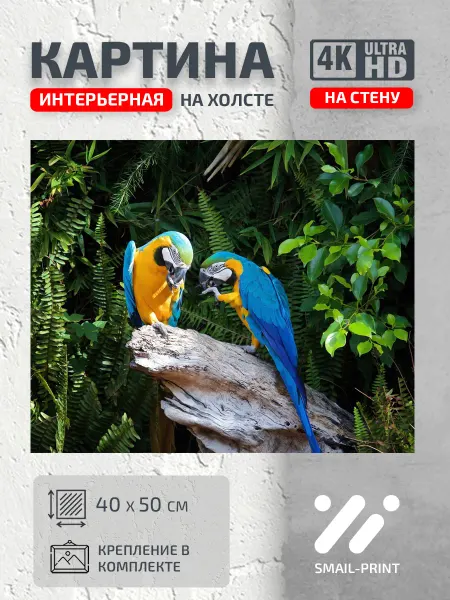 Jz Like Картина Рыбы и Птицы ары деревья природа пень попугаи пара