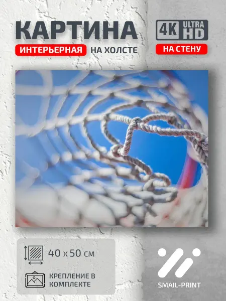 Jz Like Картина на стену сетка спорт баскетбол