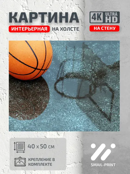 Jz Like Картина на стену Спорт Баскетбольный мяч